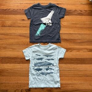 Bundle of 2 CrewCuts Short Sleeve Tees Size 2T
